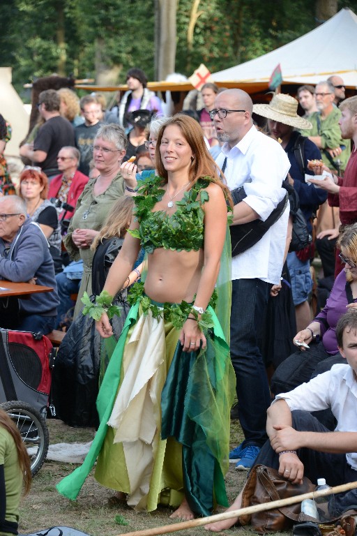 ../Images/Castlefest 2016 Vrijdag 185.jpg